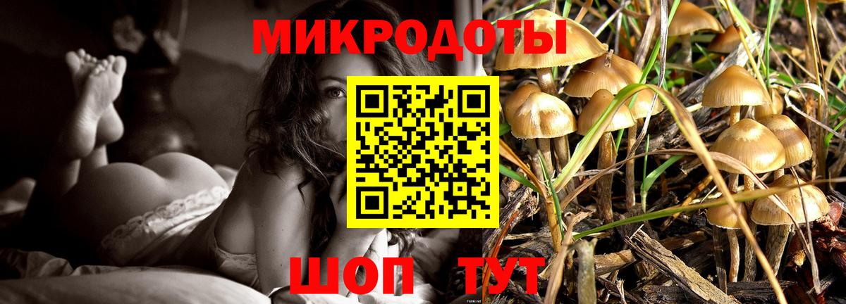 Псилоцибиновые грибы Cubensis Луга